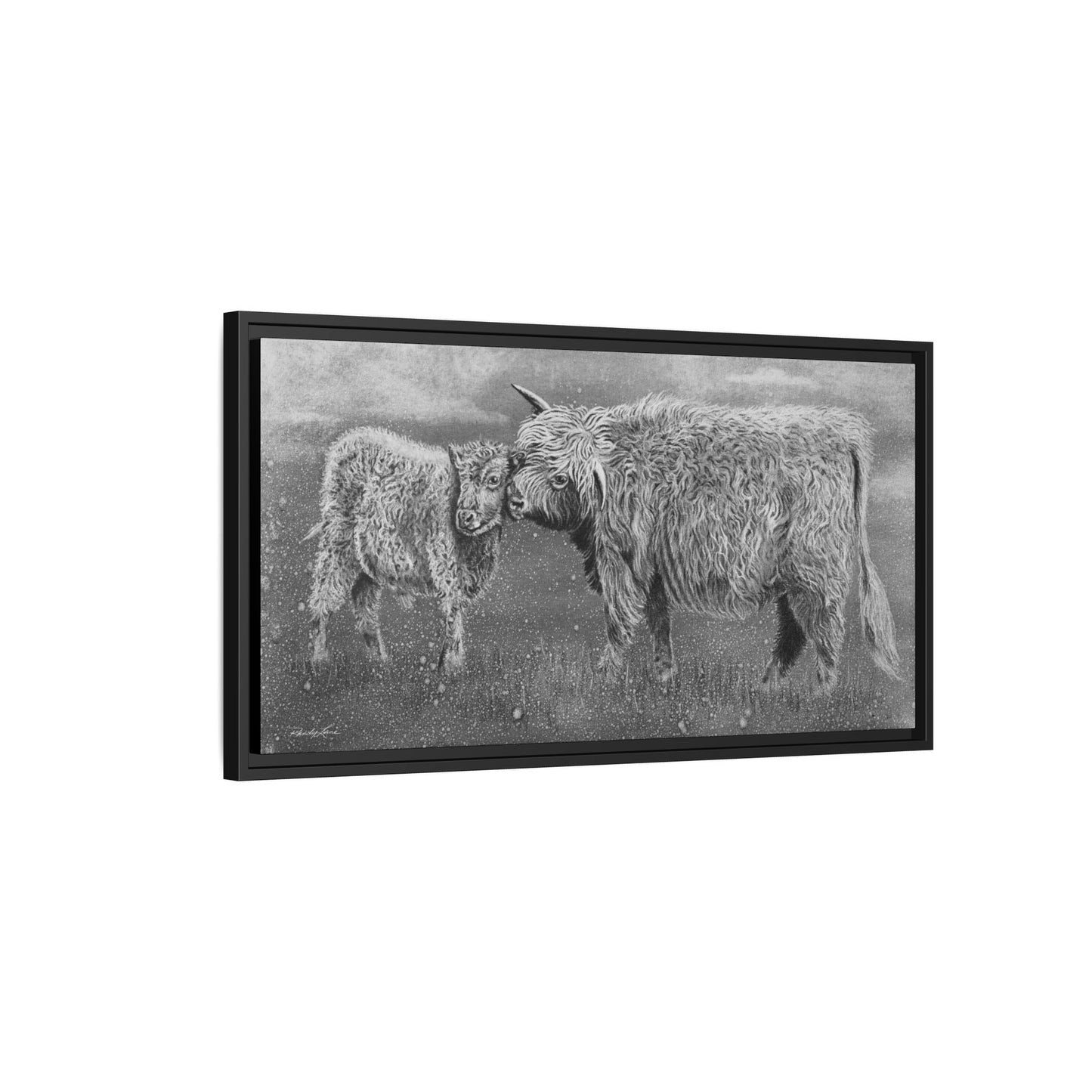 Highland Love, Highland Cattle Framed Canvas Art Print
