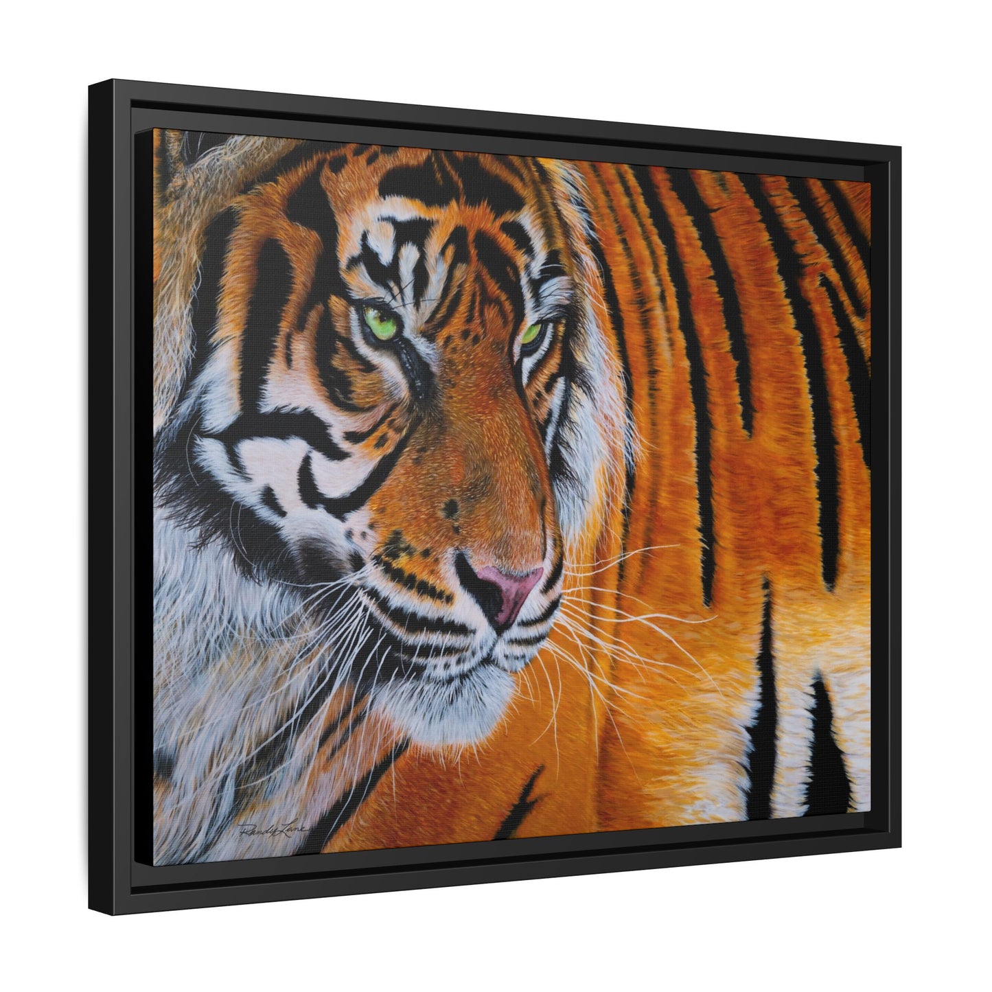 Tiger Stripe, Framed Tiger Canvas Print