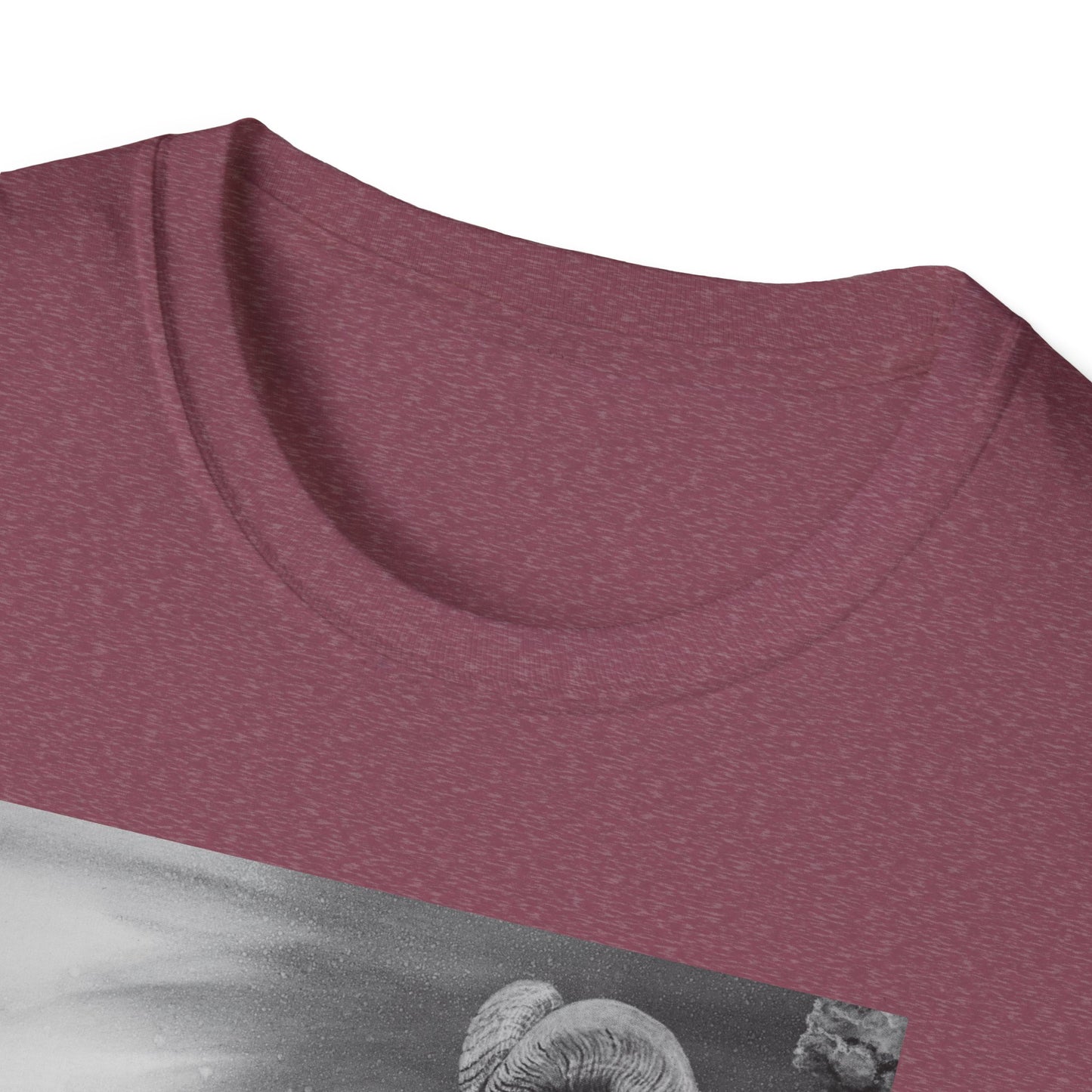 Legendary, Bighorn Sheep Unisex Softstyle Tee