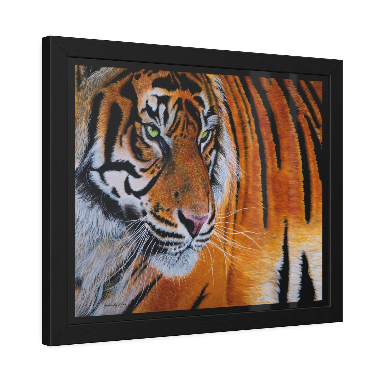 Tiger Stripe, Tiger Framed Art Print