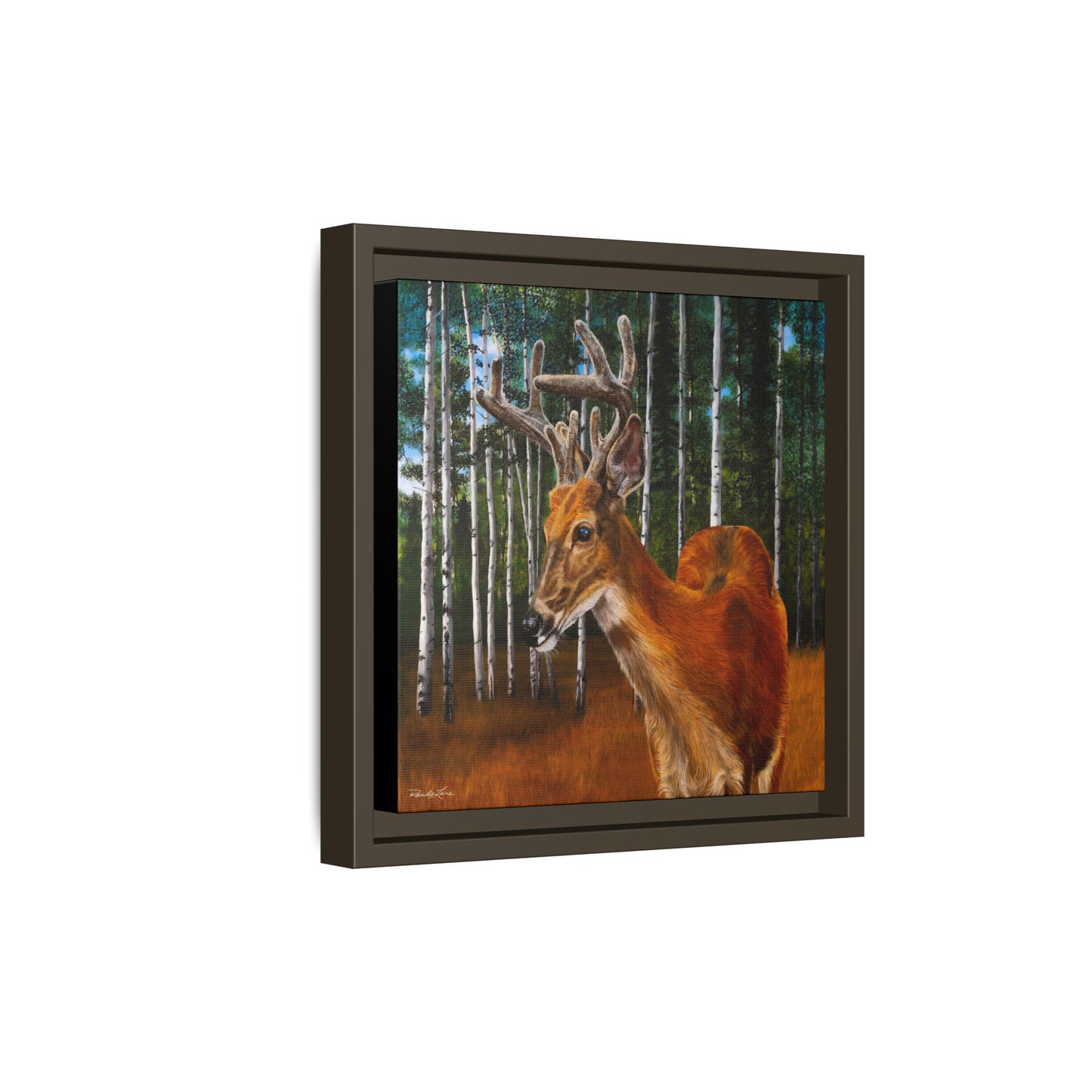 Velvet Crush, Framed Deer Canvas Art
