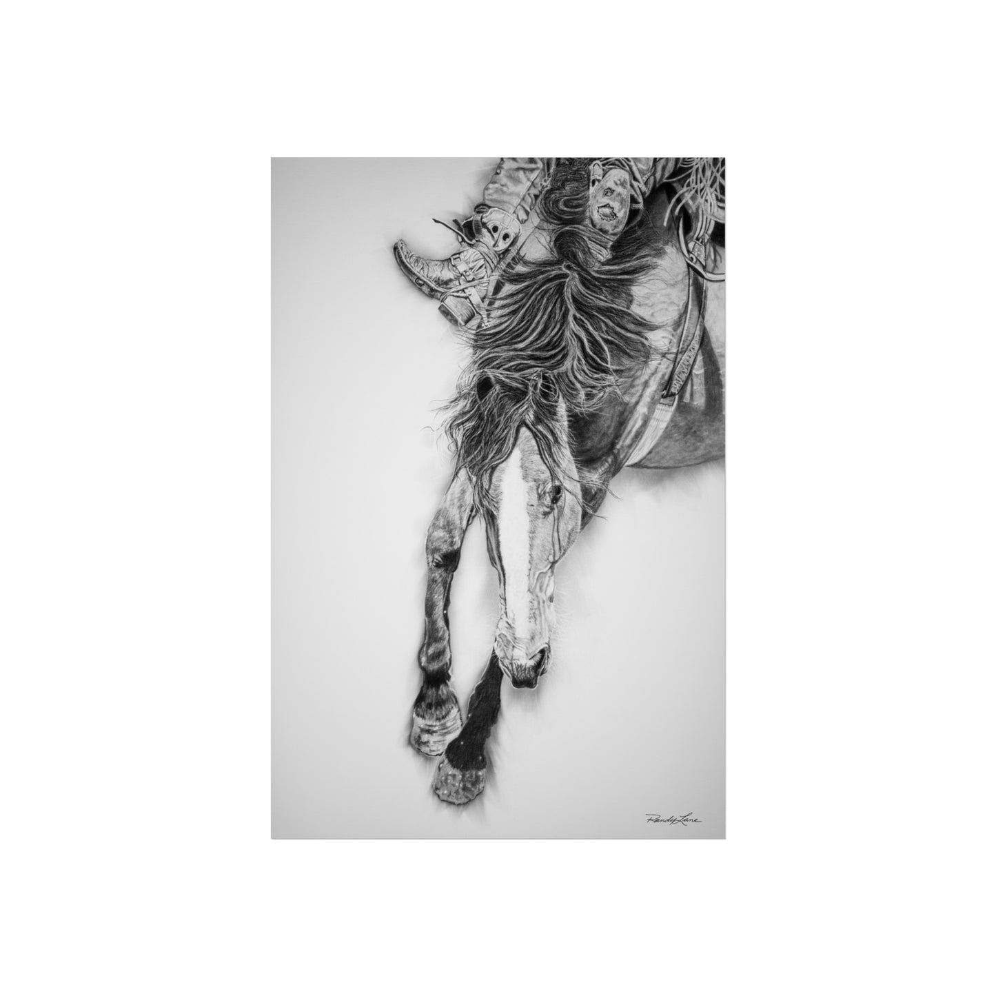 Crazy 8. Fine Art Rodeo Print