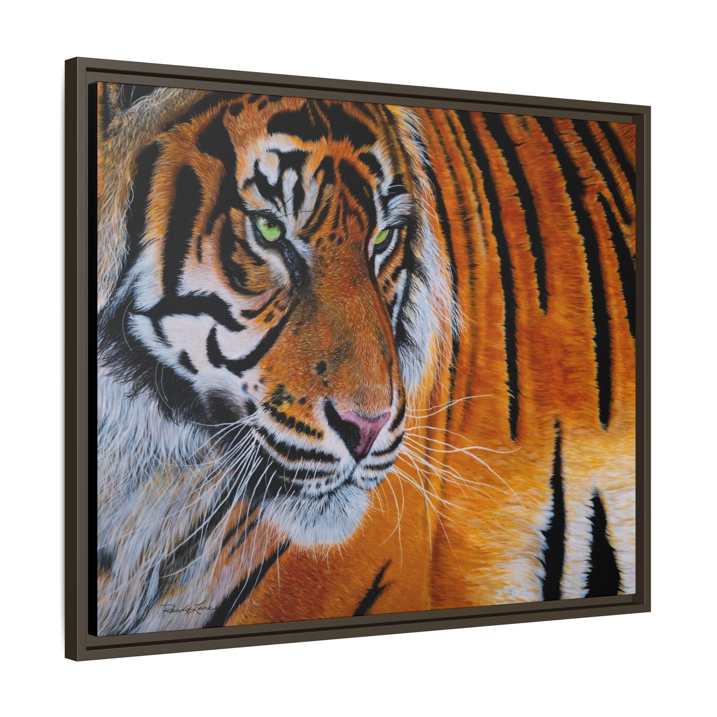 Tiger Stripe, Framed Tiger Canvas Print