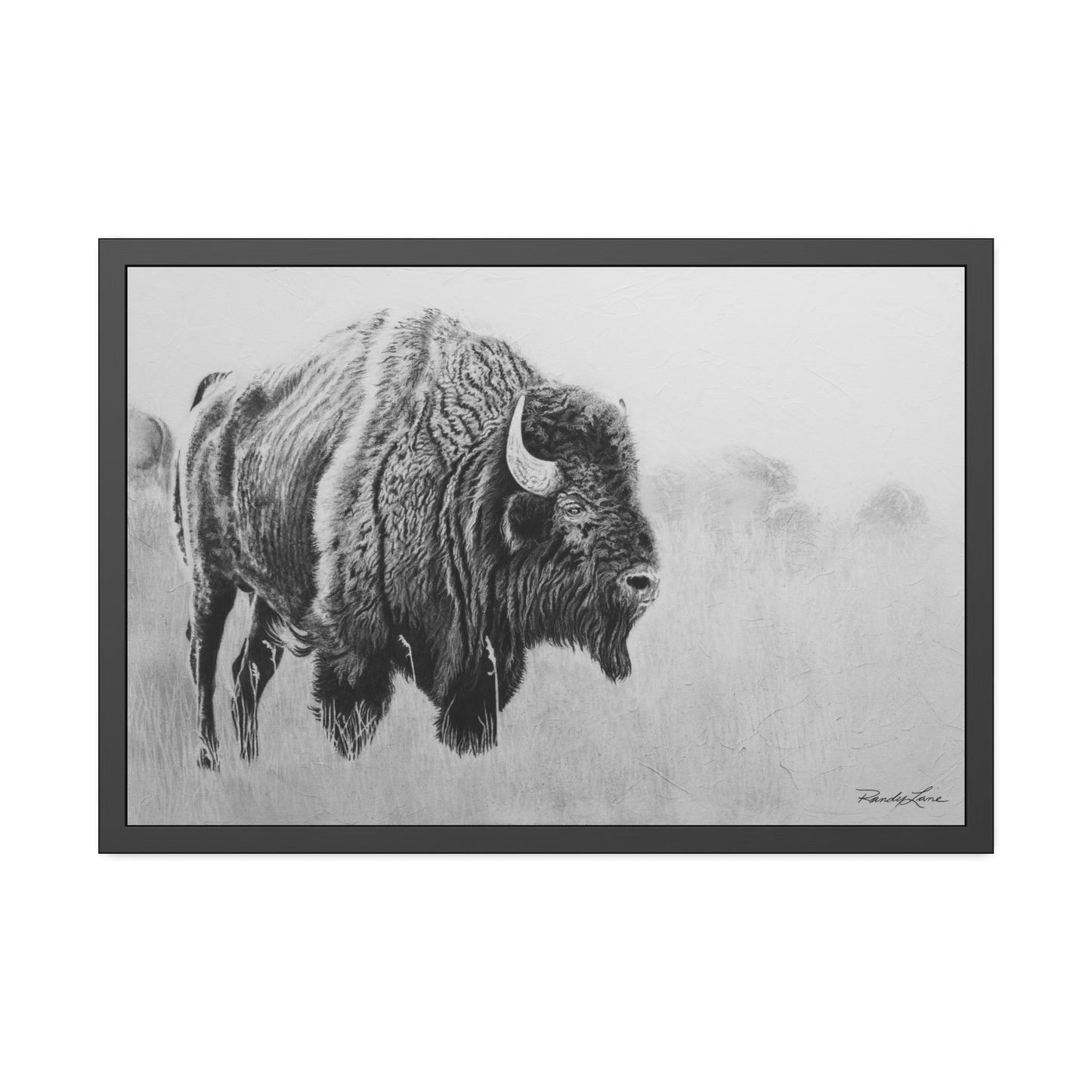 Prairie Bison, Bison Charcoal Art Framed Print