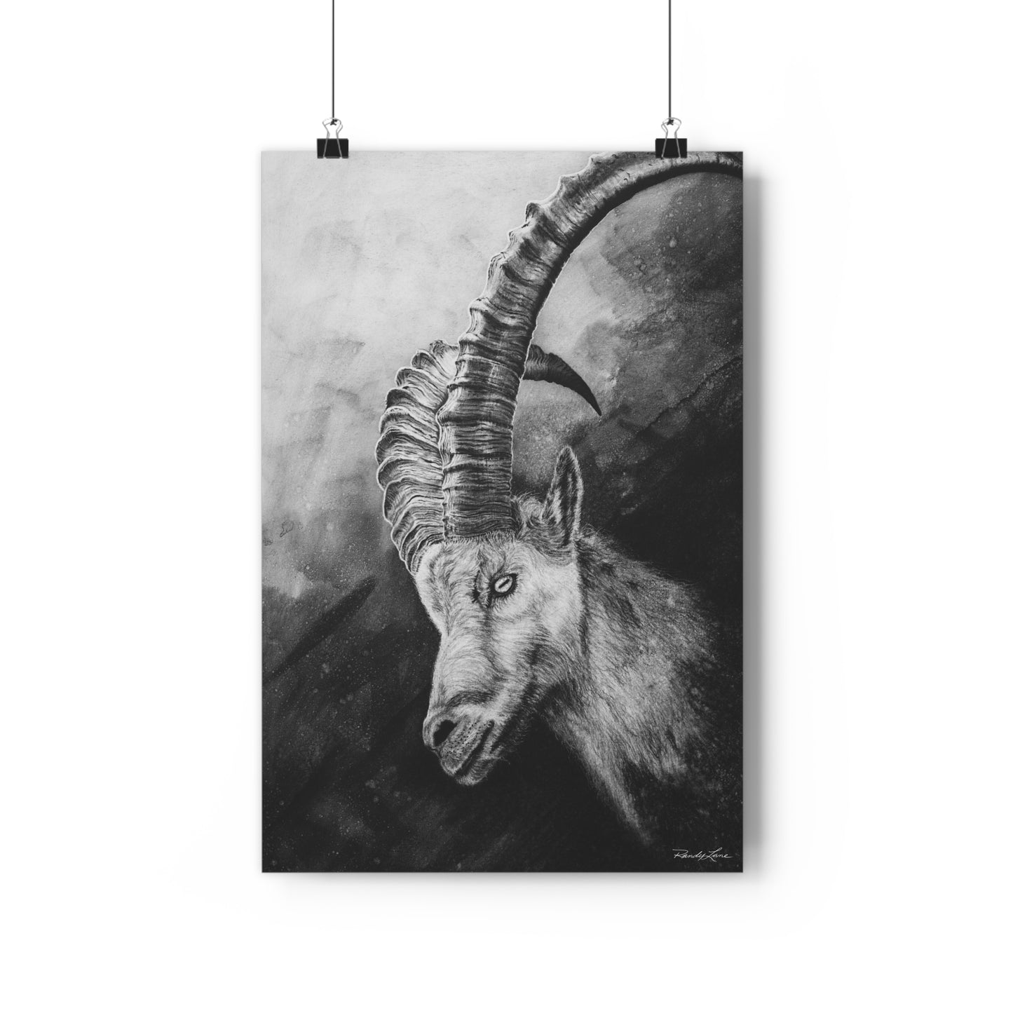 Apex, Alpine Mountain Goat Giclée Art Print