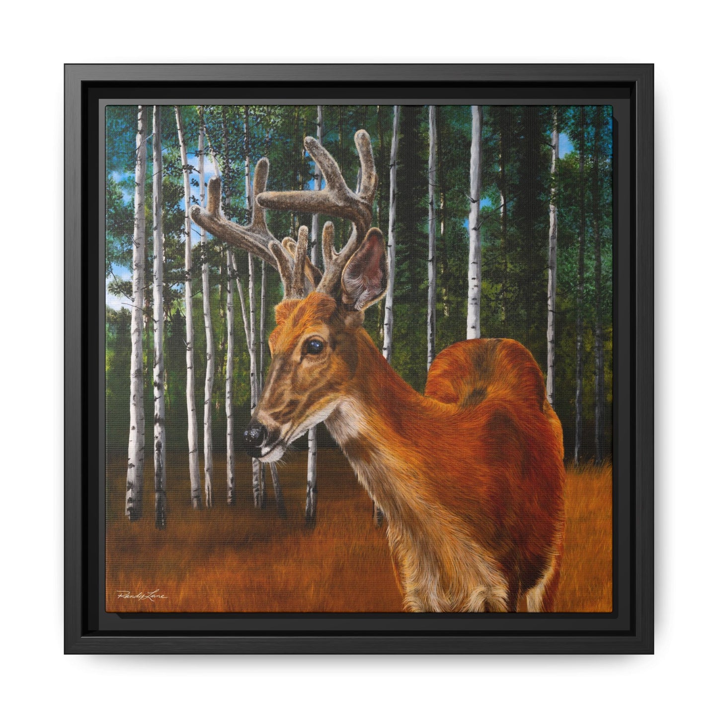 Velvet Crush, Framed Deer Canvas Art