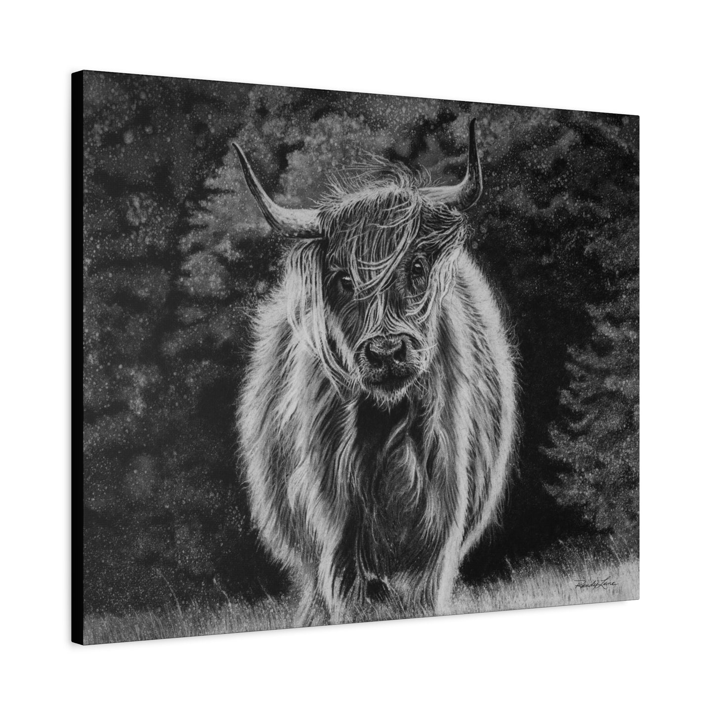Ragamuffin. Highland Cow Stretched Matte Canvas Wall Art