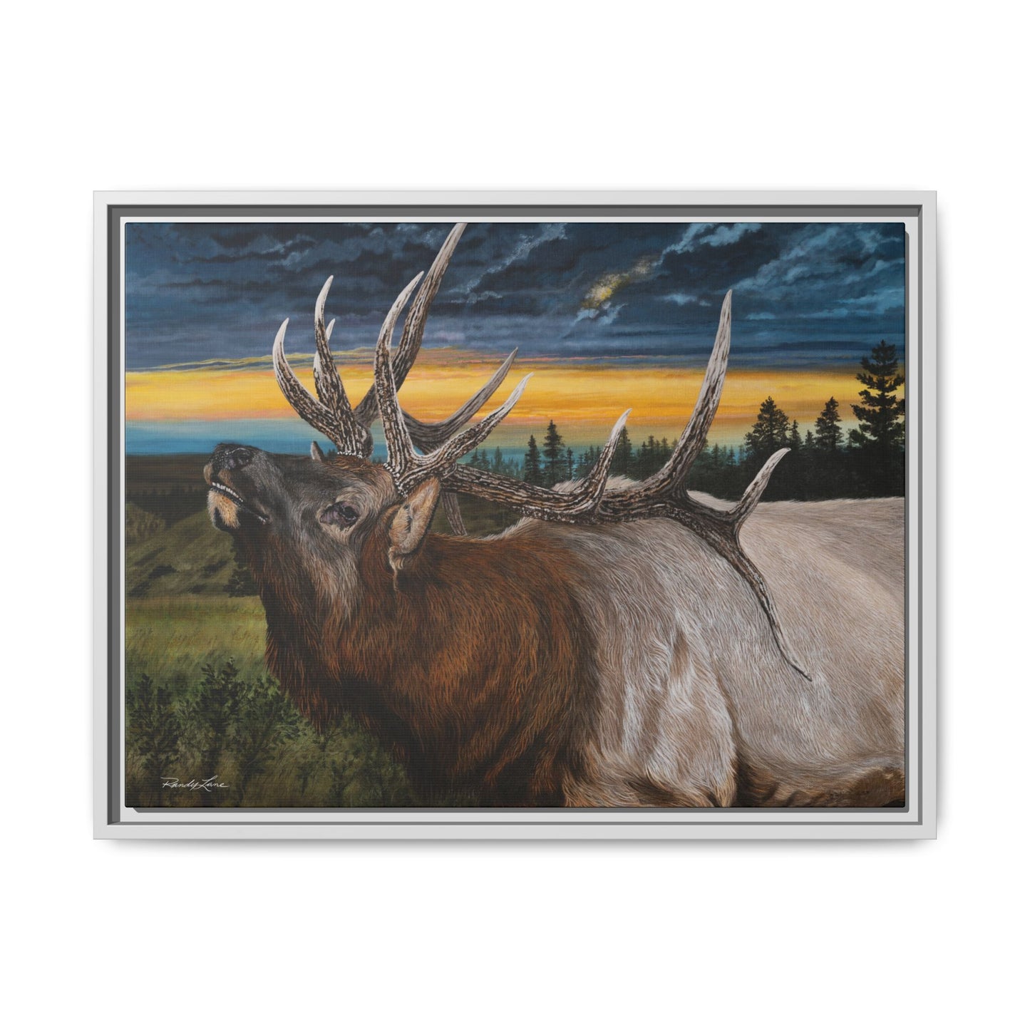 Sunset Serenade,  Elk Framed Matte Canvas Print