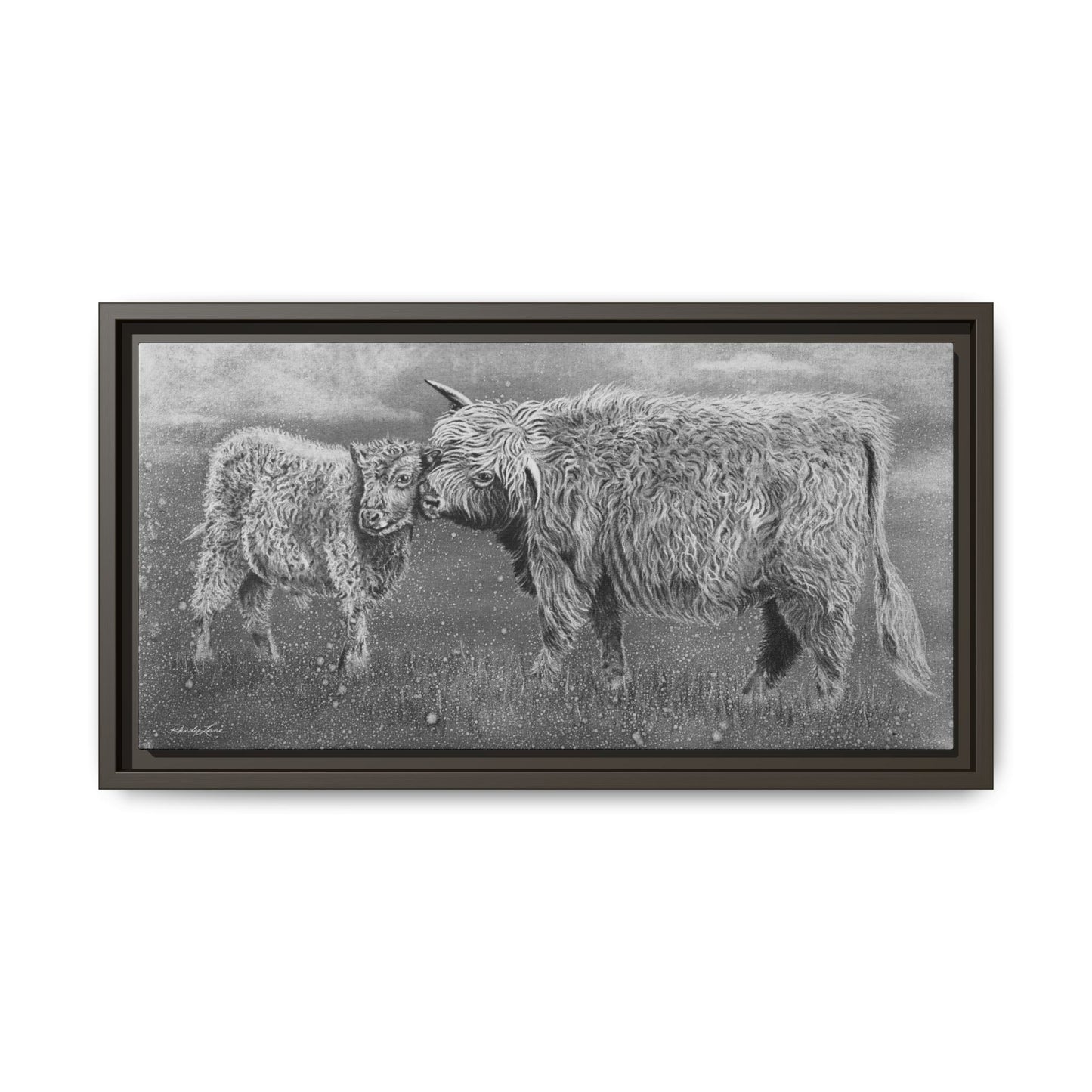 Highland Love, Highland Cattle Framed Canvas Art Print