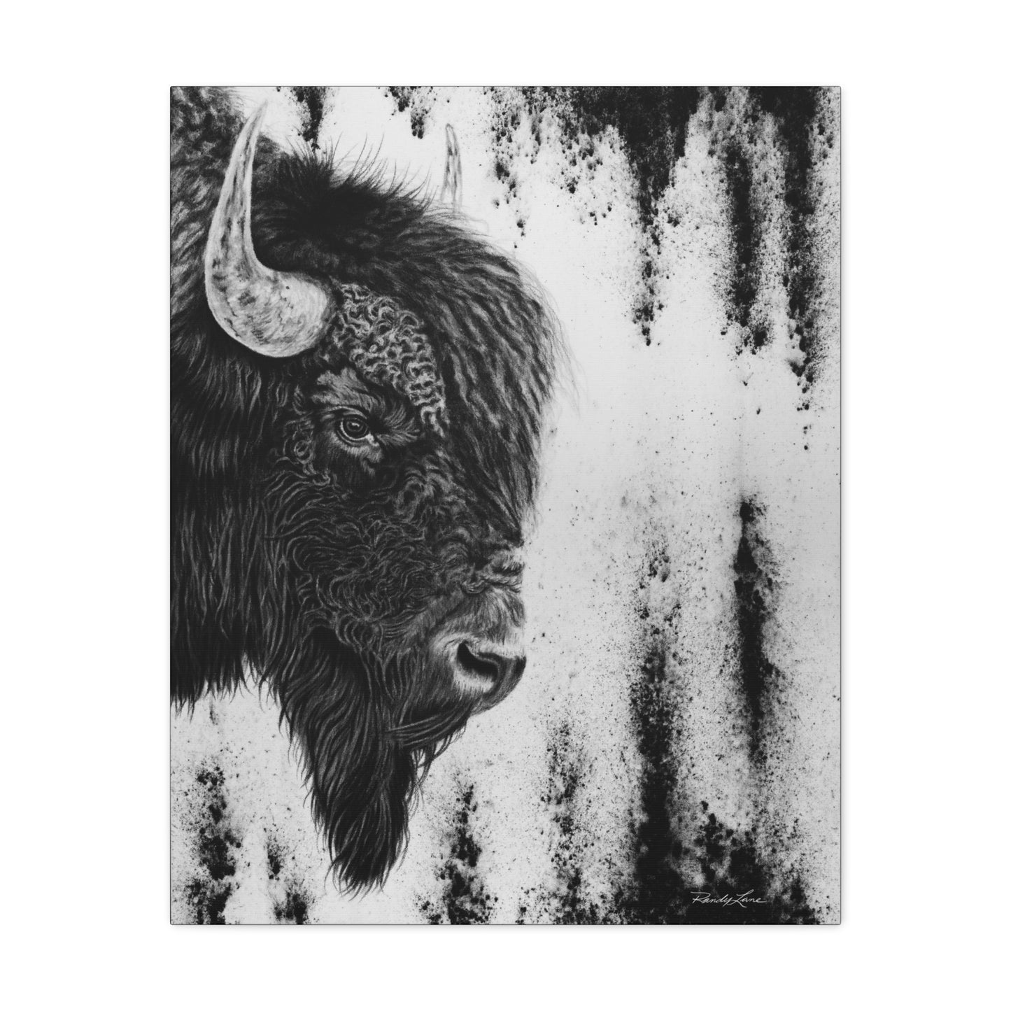 Pride, Bison Stretched Canvas Wall Decor