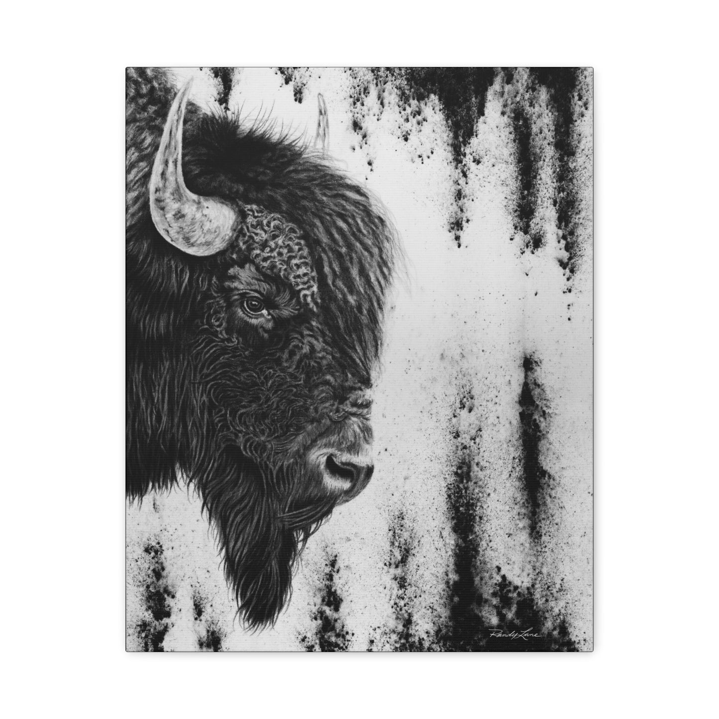 Pride, Bison Stretched Canvas Wall Decor
