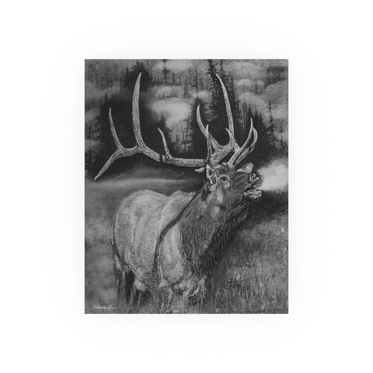 Mountain Music, Bull Elk Bugling Fine Art Print — Satin or Archival Matte