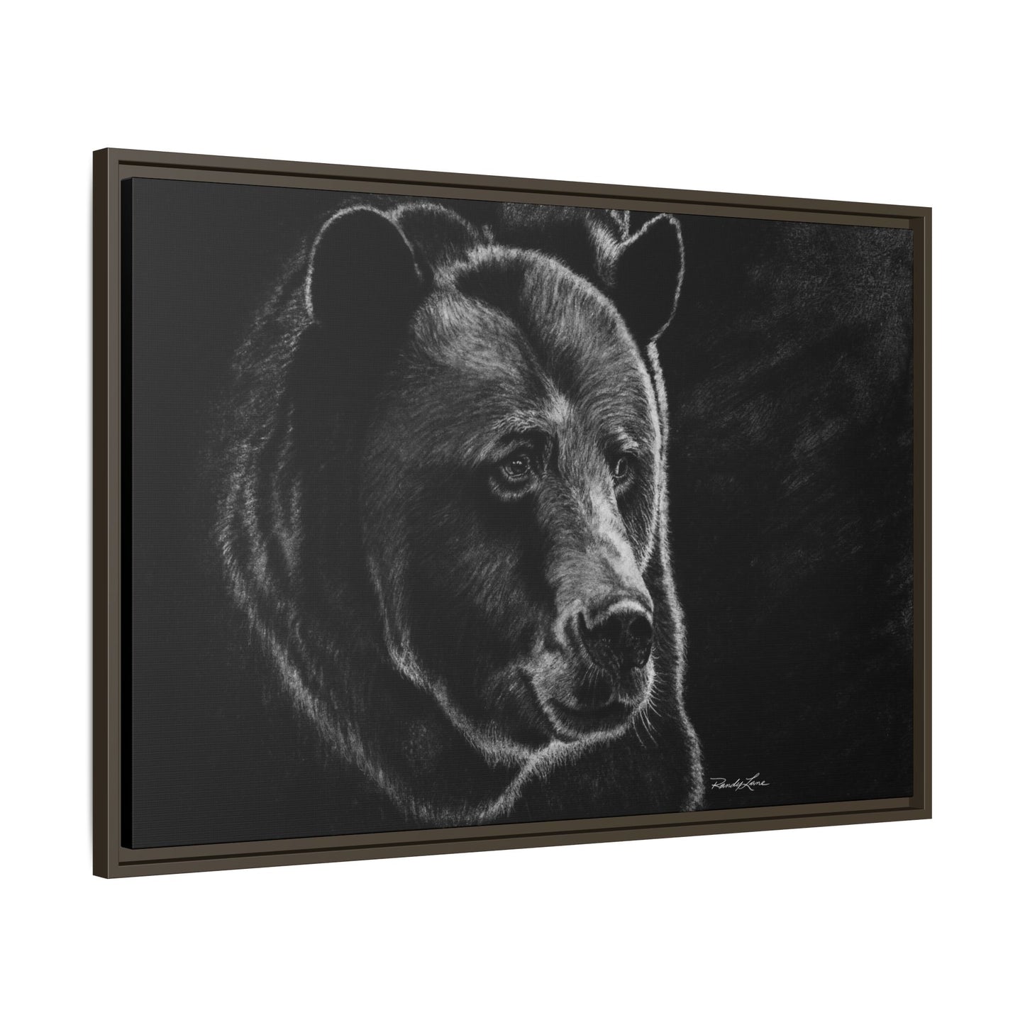 Dominance, Bear Portrait Stretched Framed Matte Canvas Print