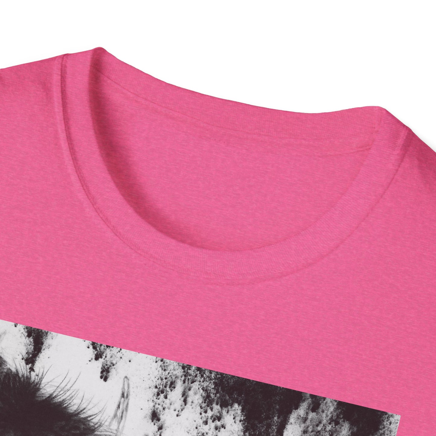 Pride, Bison Graphic Tee, Unisex Softstyle T-Shirt