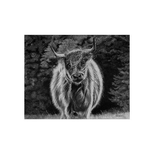 Ragamuffin. Highland Cow Fine Art Print