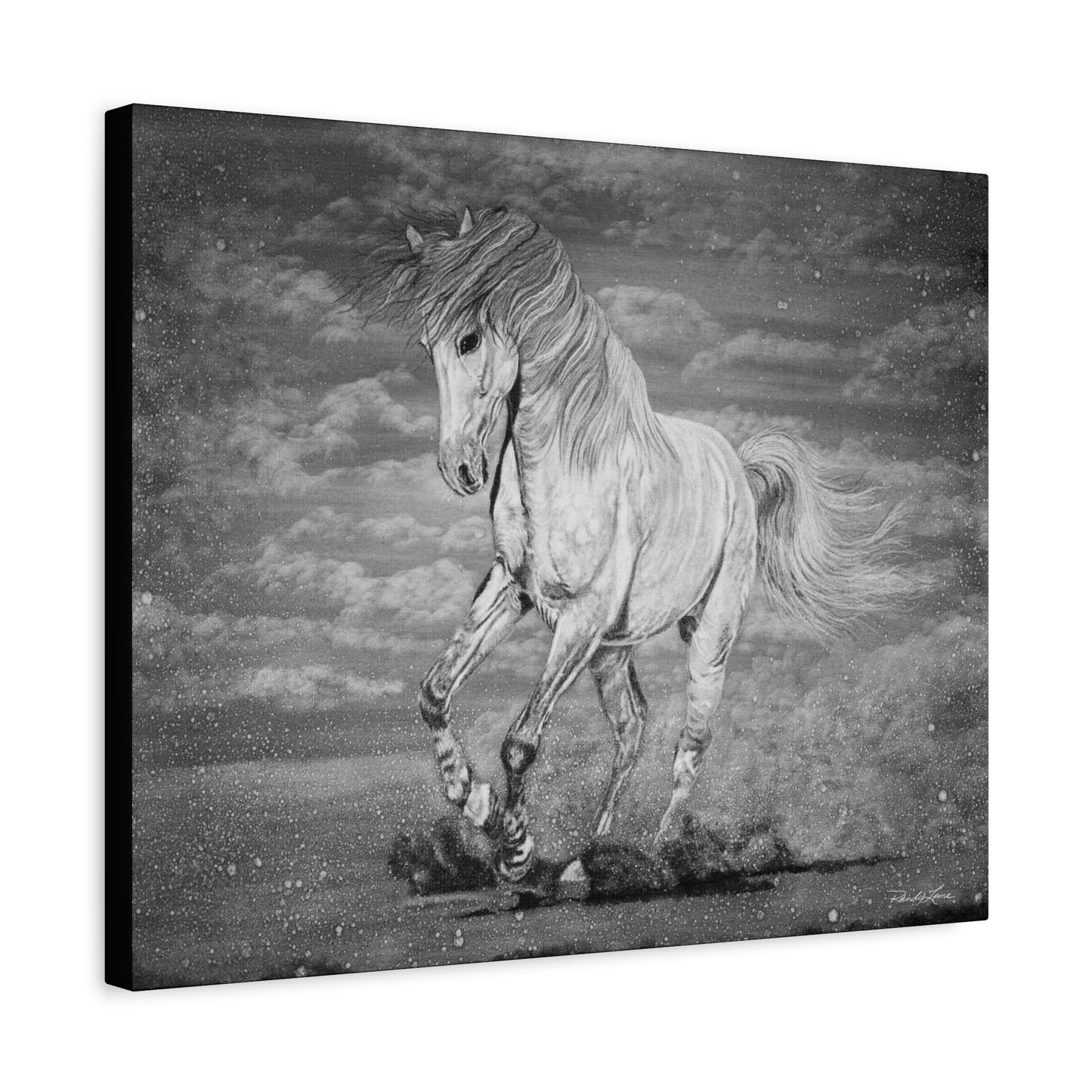 Equine Elegance. Prancing Horse Stretched Matte Canvas Print