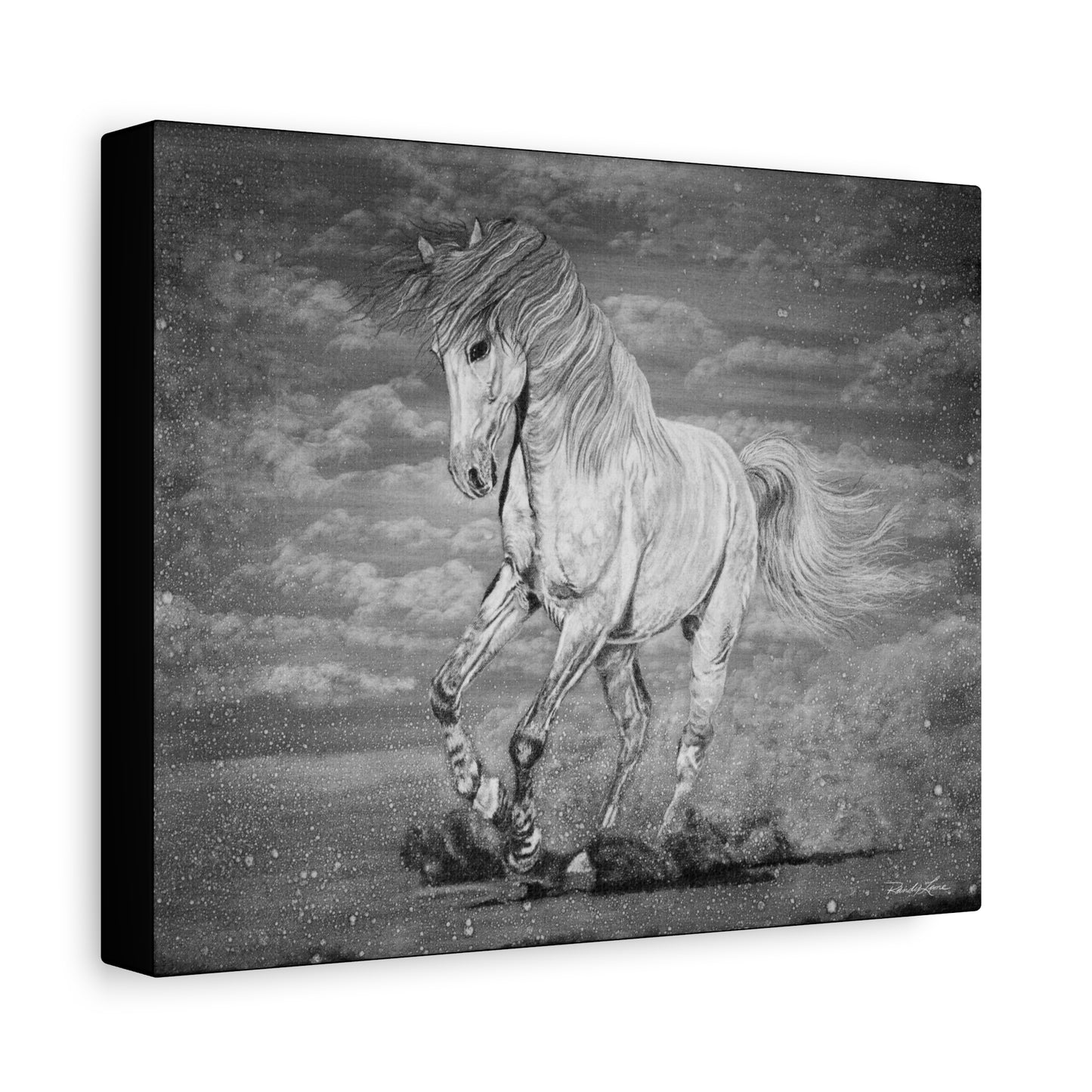 Equine Elegance. Prancing Horse Stretched Matte Canvas Print