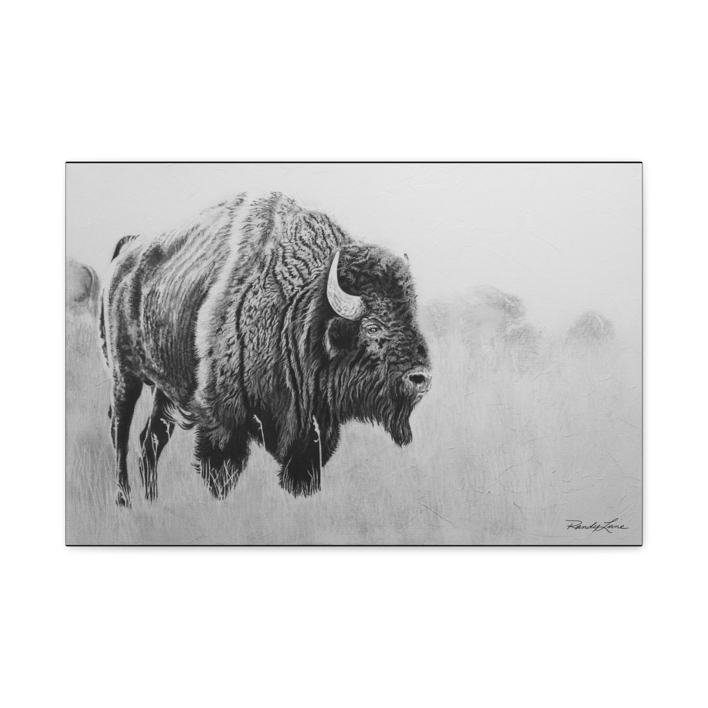 Prairie Bison