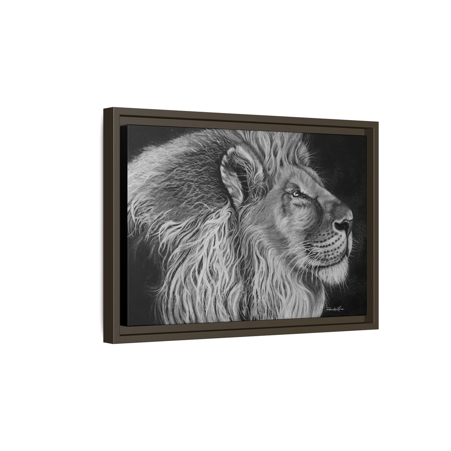 King of Cool, Majestic Lion Framed Canvas Art
