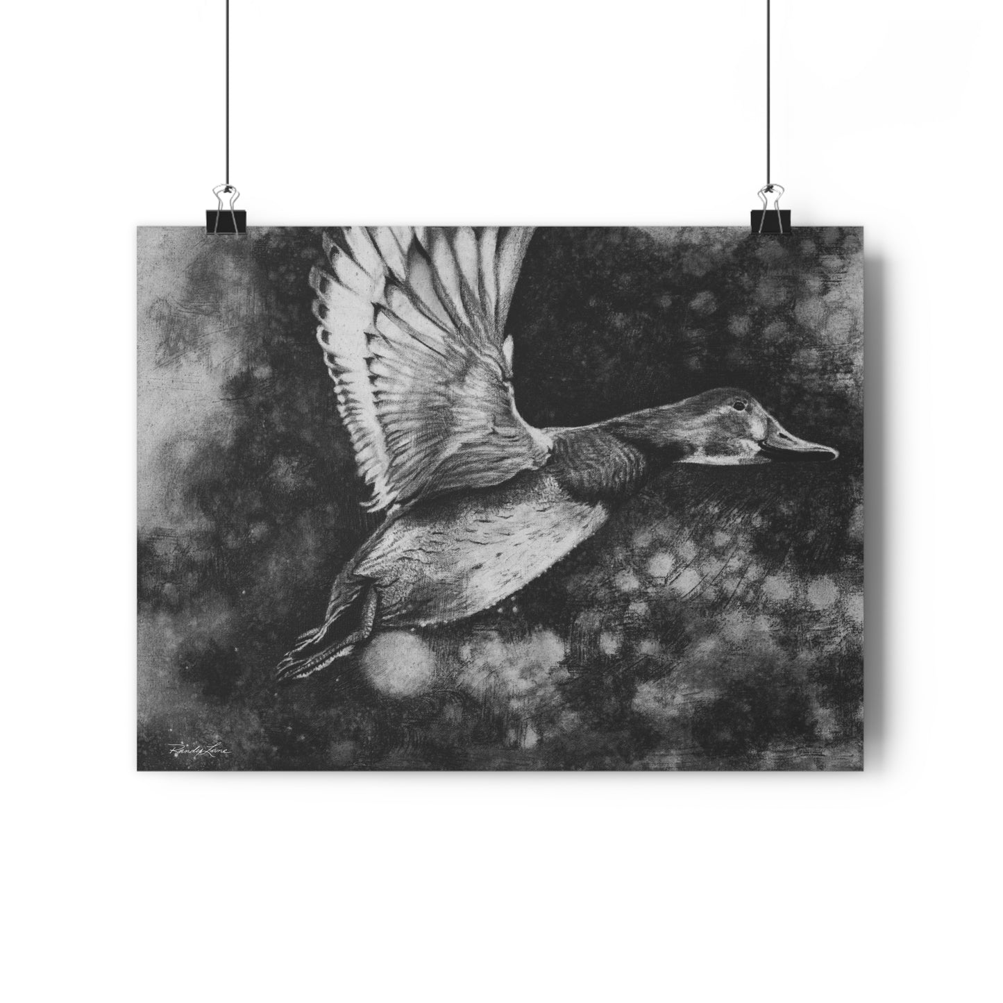 Flare, Duck Giclée Art Print