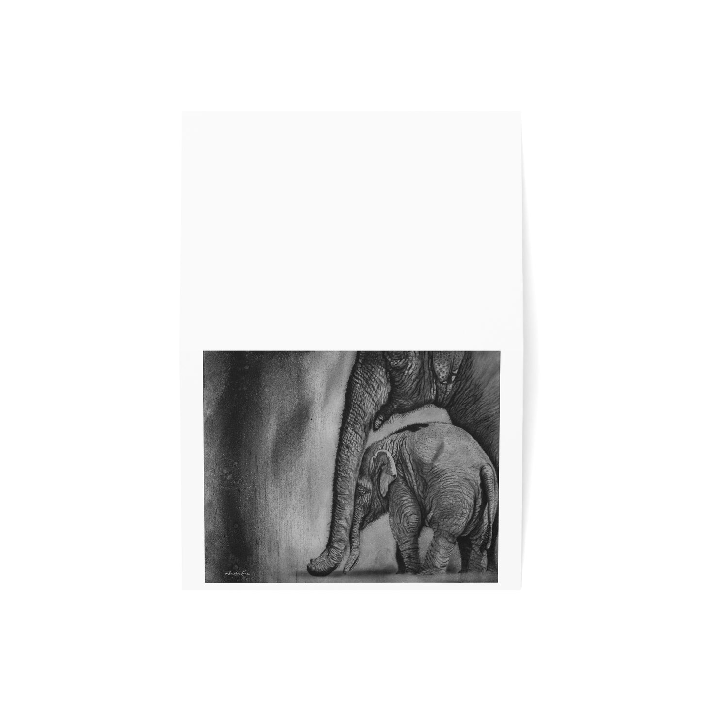 Trunks of Love, Elephant Greeting Cards - Set of 1, 10, 30, or 50 for Birthdays, Celebrations, Sympathy, or Thank You Notes