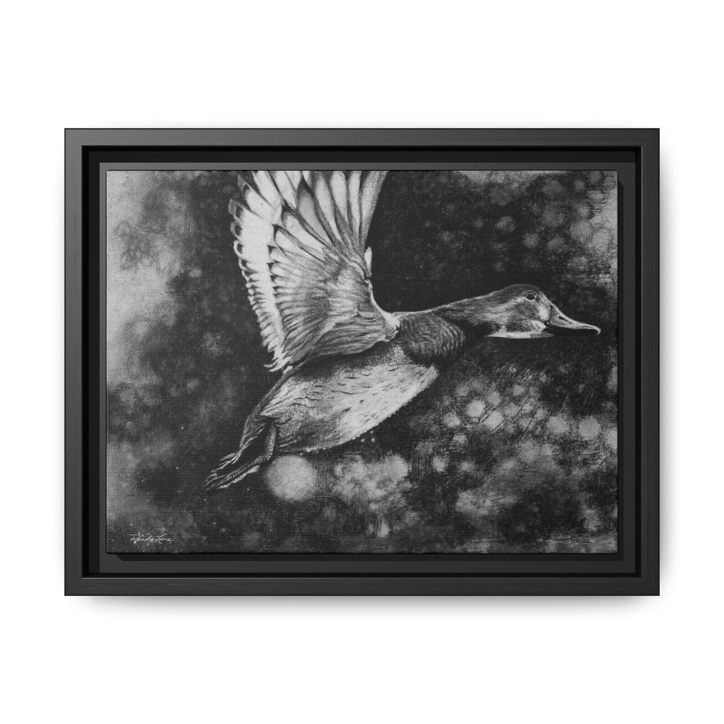 Flare, Framed Duck Canvas Art