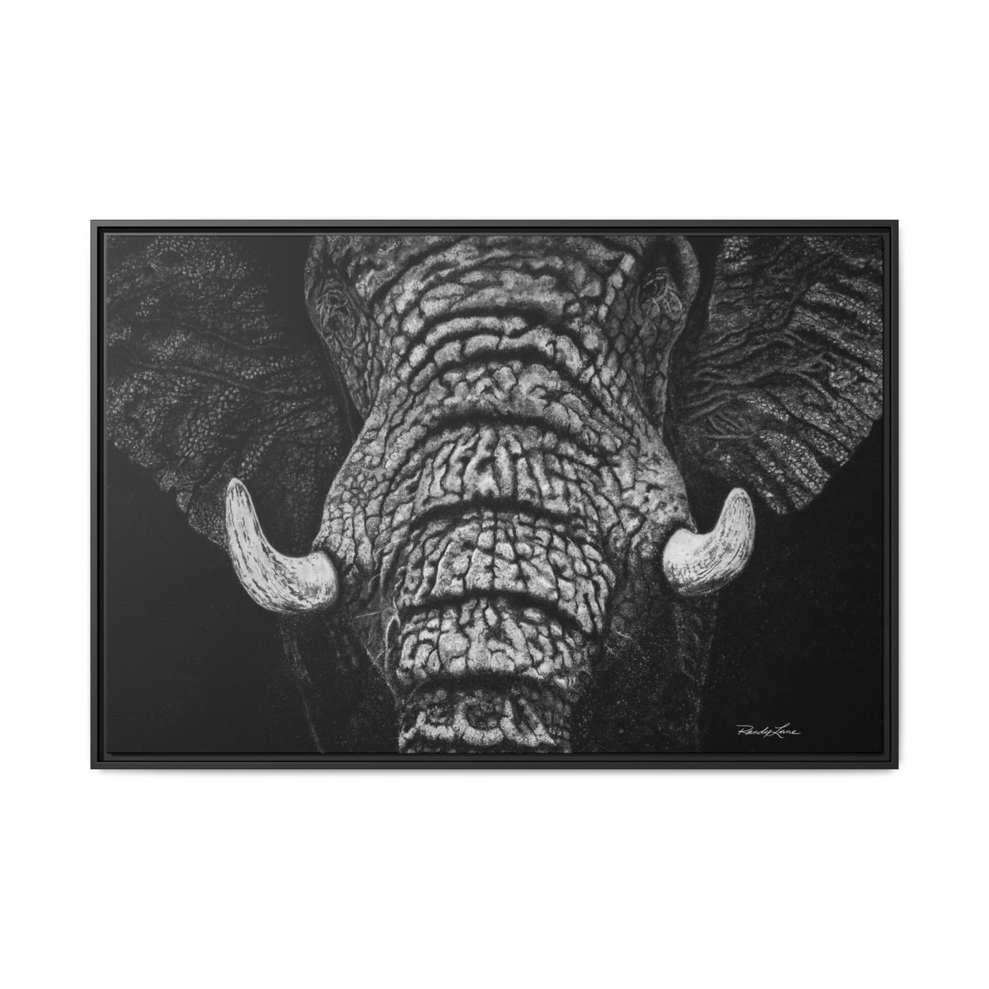 Ebony and Ivory, Elephant Portrait Framed Canvas Wall Art