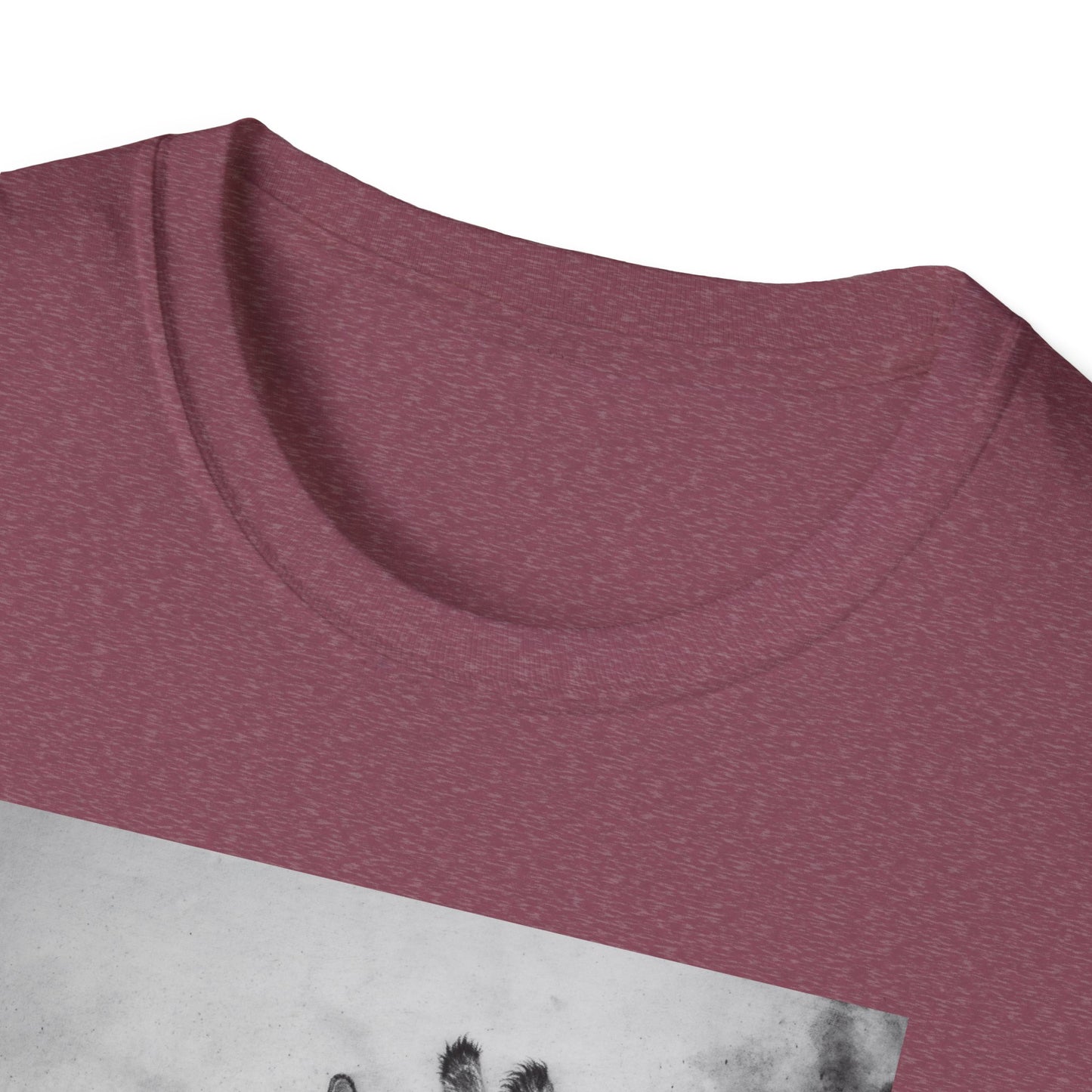Grace in the Grassland, Giraffe Unisex Softstyle T-Shirt