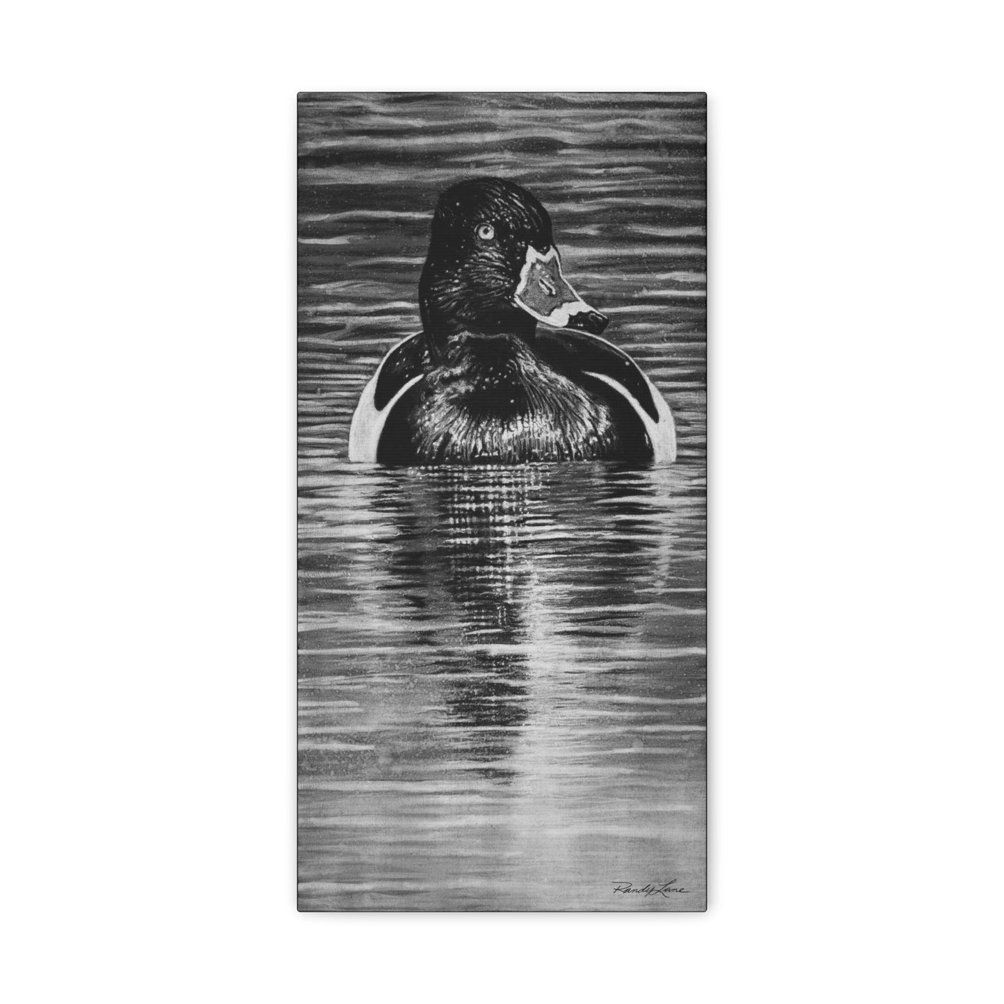 Reflection, Ring necked Duck Painting, Stretched Matte Canvas