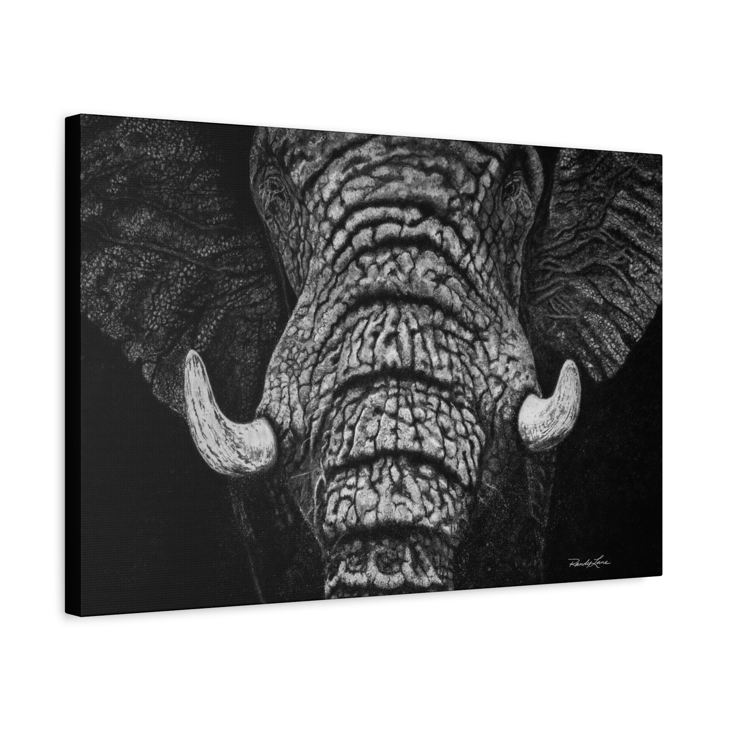 Ebony and Ivory, Stretched Canvas Wall Art Featuring Majestic Elephant