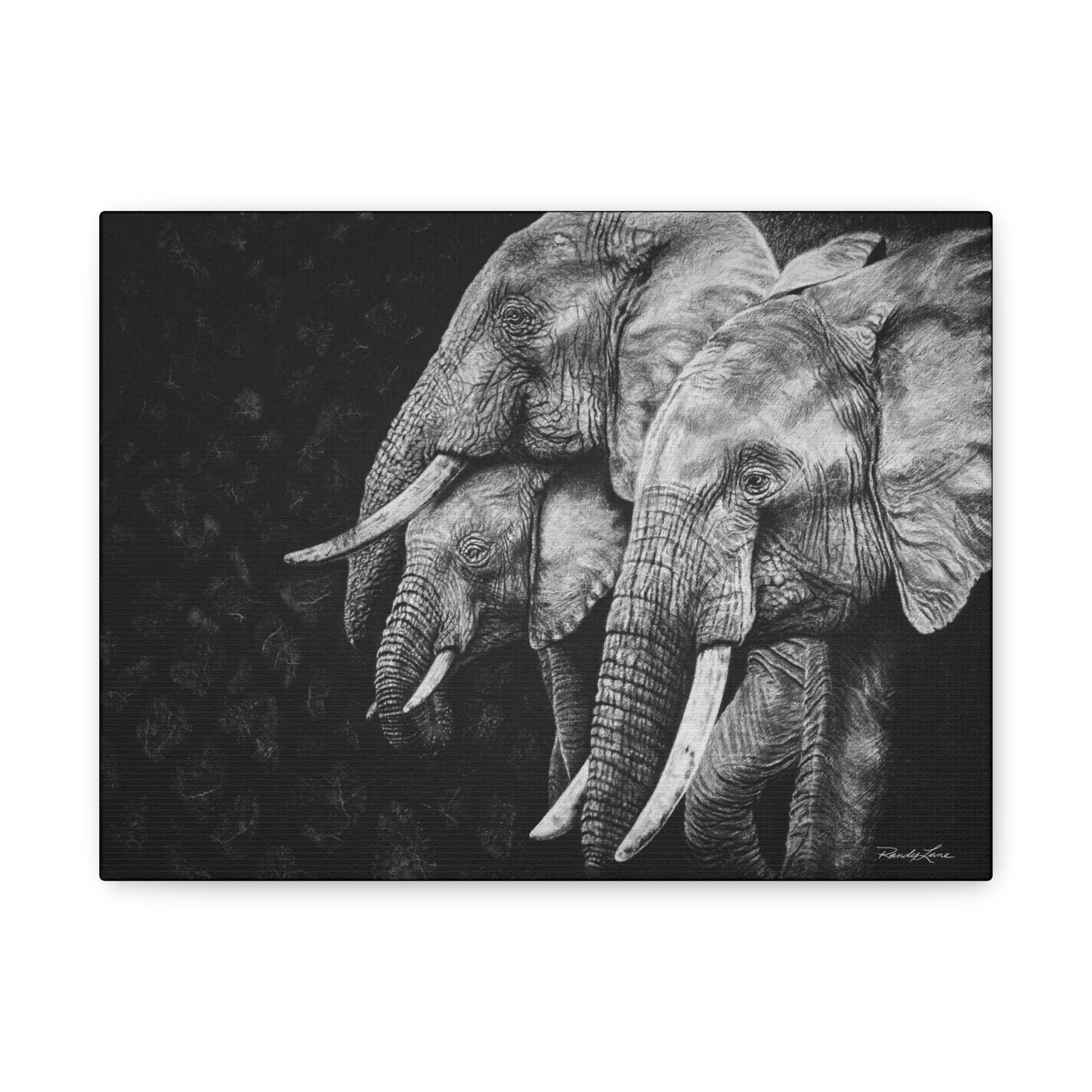 Brushland Bond. Elephant Art Stretched Canvas Print