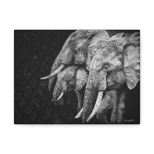 Brushland Bond. Elephant Art Stretched Canvas Print