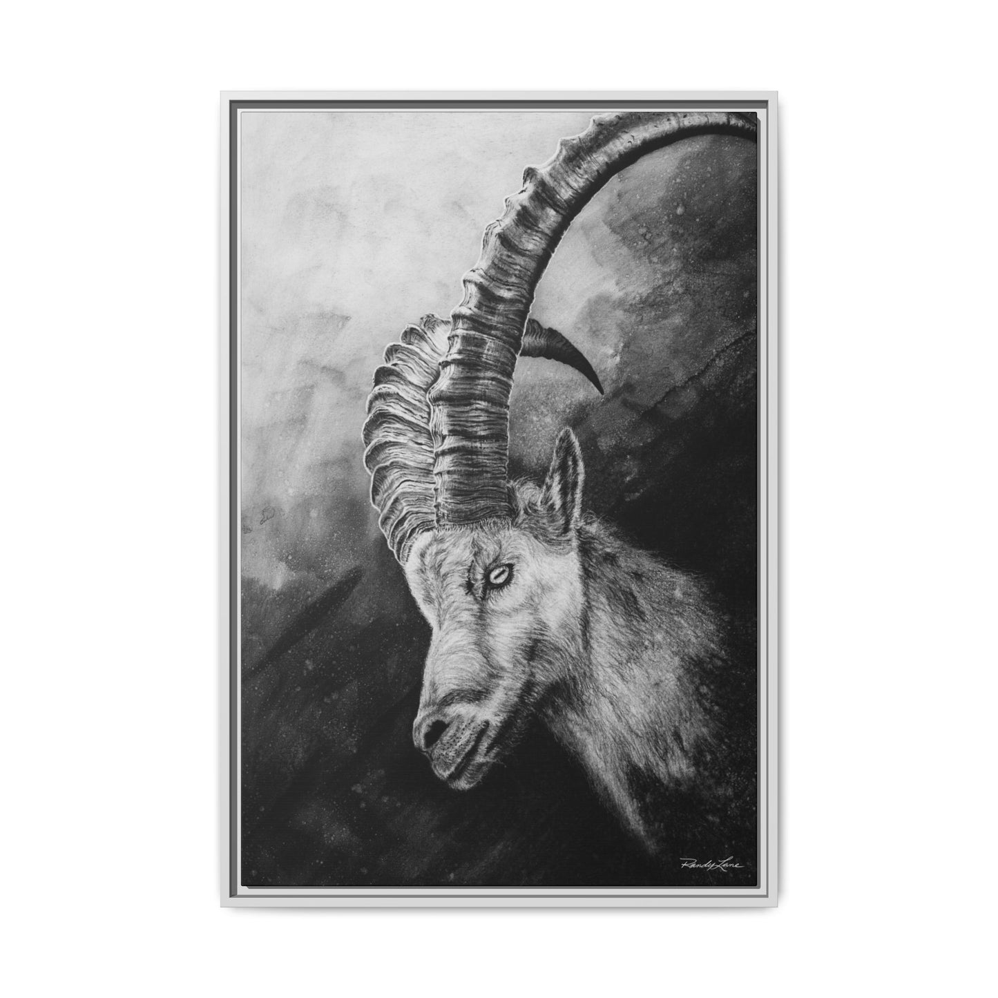 Apex,  Alpine Mountain Goat, Framed Matte Canvas Art Print,