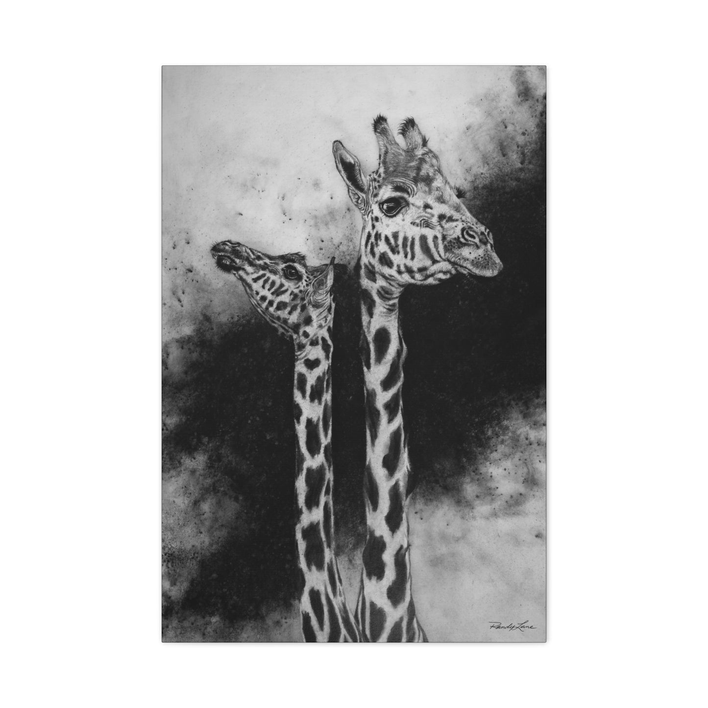 Grace in the Grasslands,  Giraffe Canvas Art Print