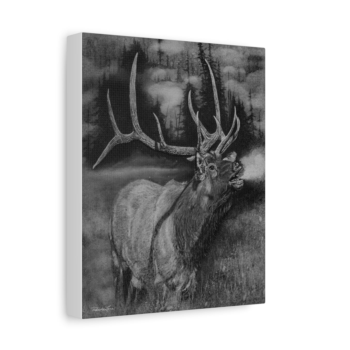 Mountain Music,  Elk Canvas Print