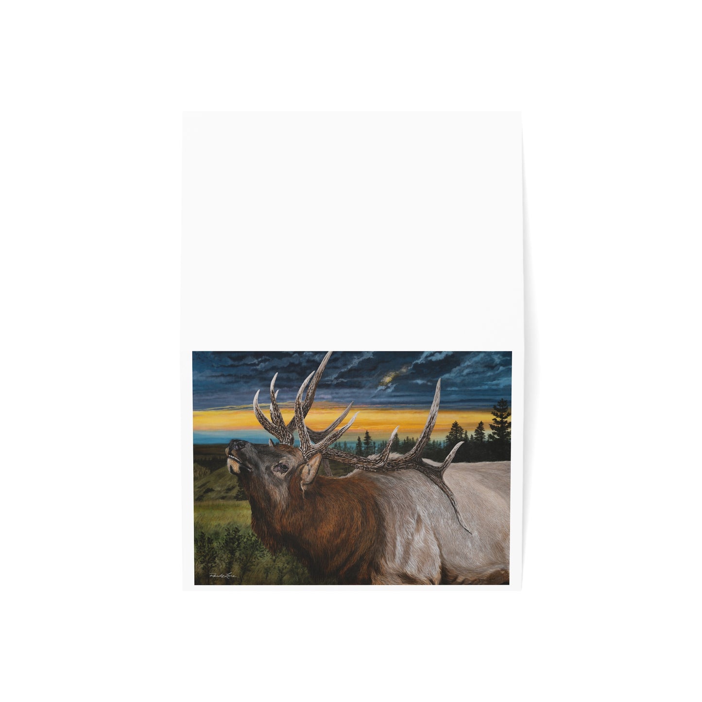 Sunset Serenade, Elk Sunset Greeting Cards