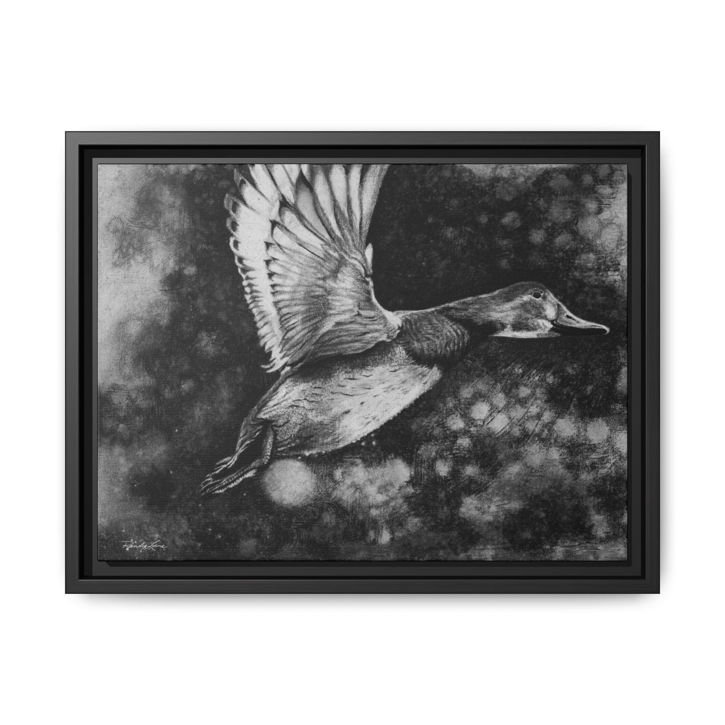 Flare, Framed Duck Canvas Art