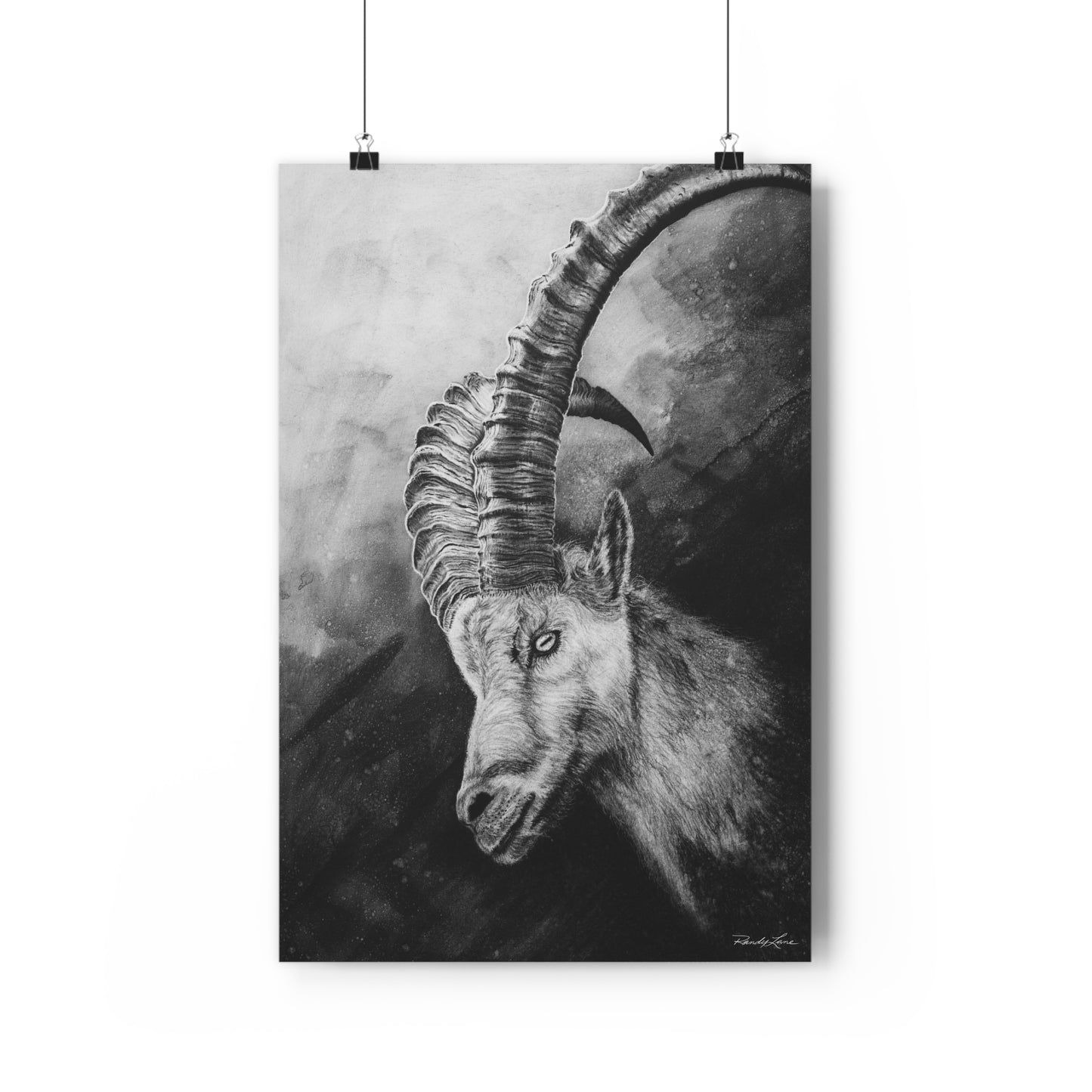 Apex, Alpine Mountain Goat Giclée Art Print