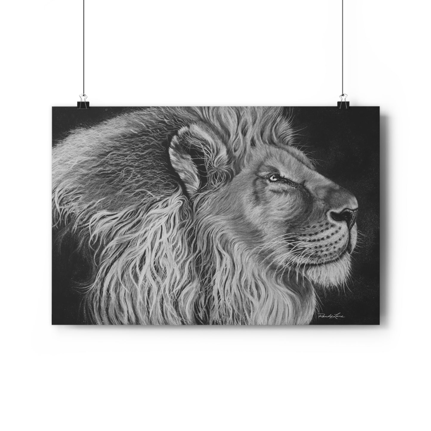 King of Cool, Majestic Lion Giclée Art Print