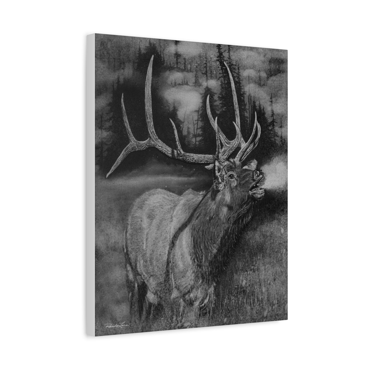 Mountain Music,  Elk Canvas Print