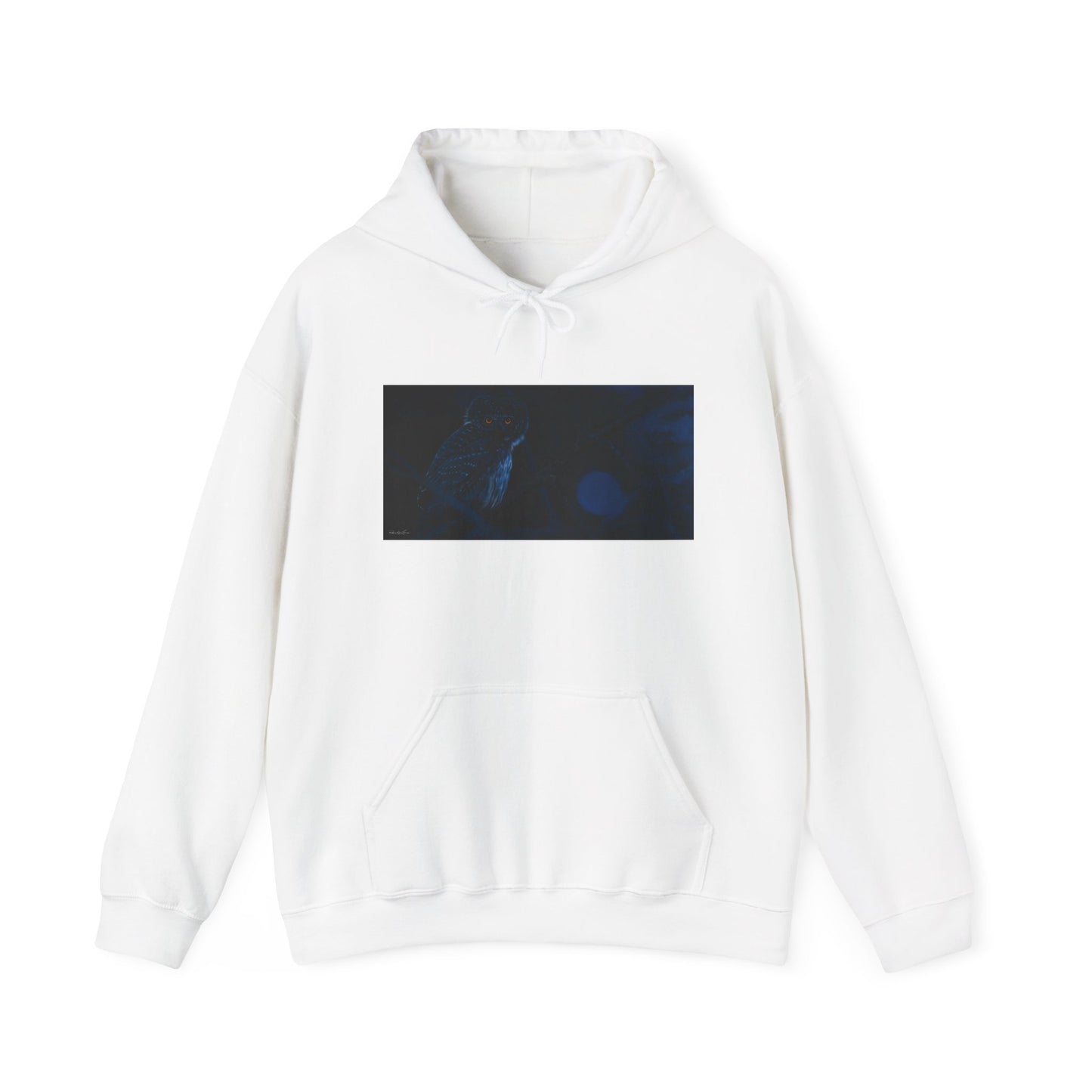 Bright Eyes, Owl print Cozy Unisex Hooded Sweatshirt