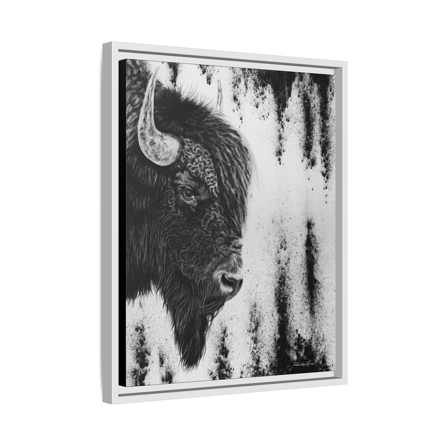 Pride, Framed Bison Canvas Art
