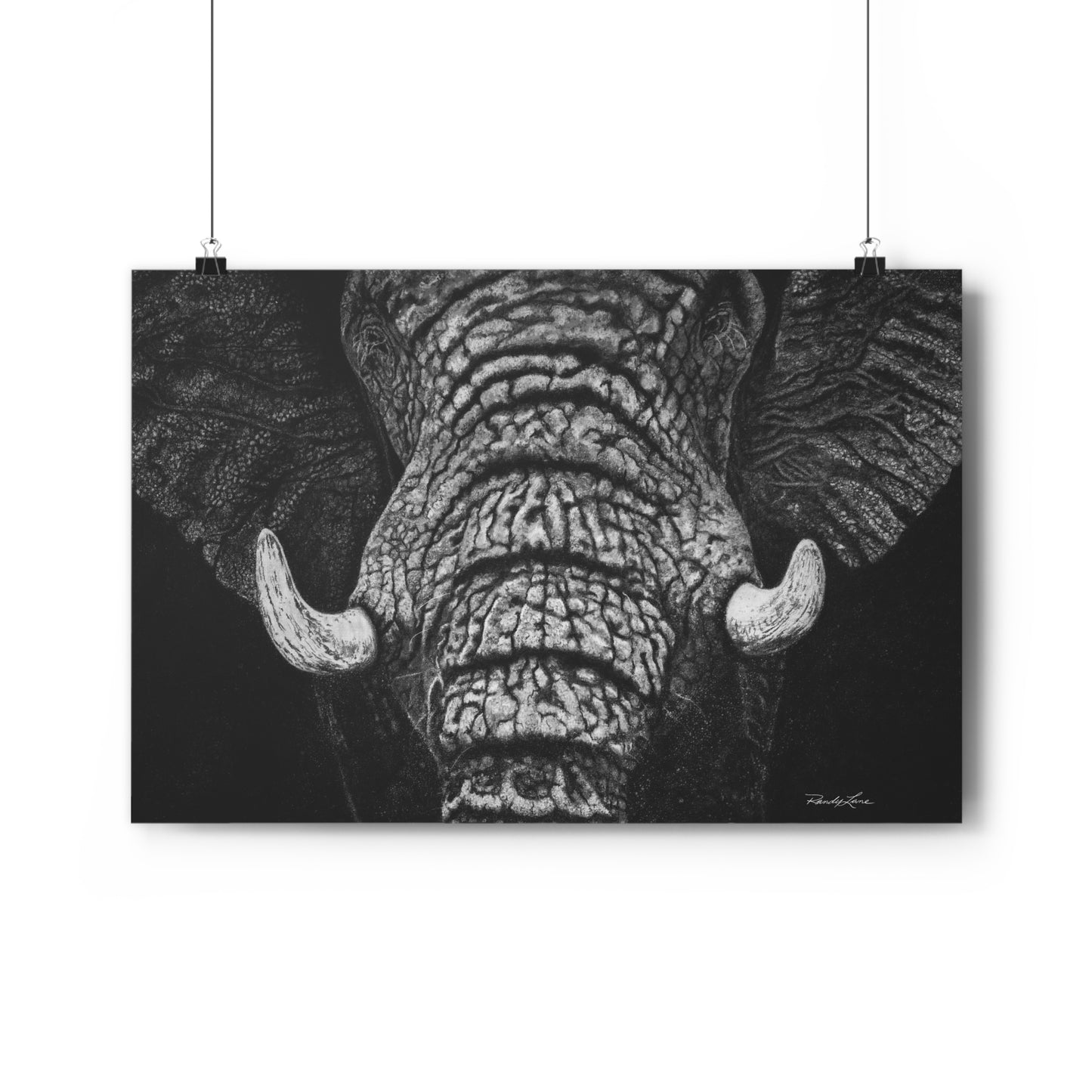 Ebony and Ivory, Elephant Giclée Art Print