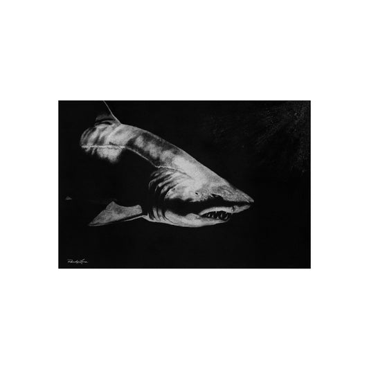 Below, Shark Fine Art Print