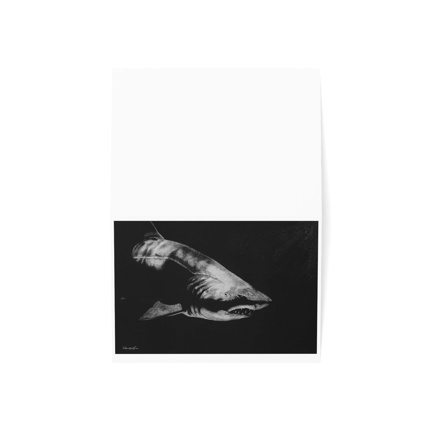 Below, Shark-Themed Greeting Cards, Unique Note Cards for All Occasions, Set of 1/10/30/50