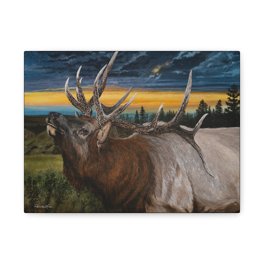 Sunset Serenade,  Elk Canvas Art Print