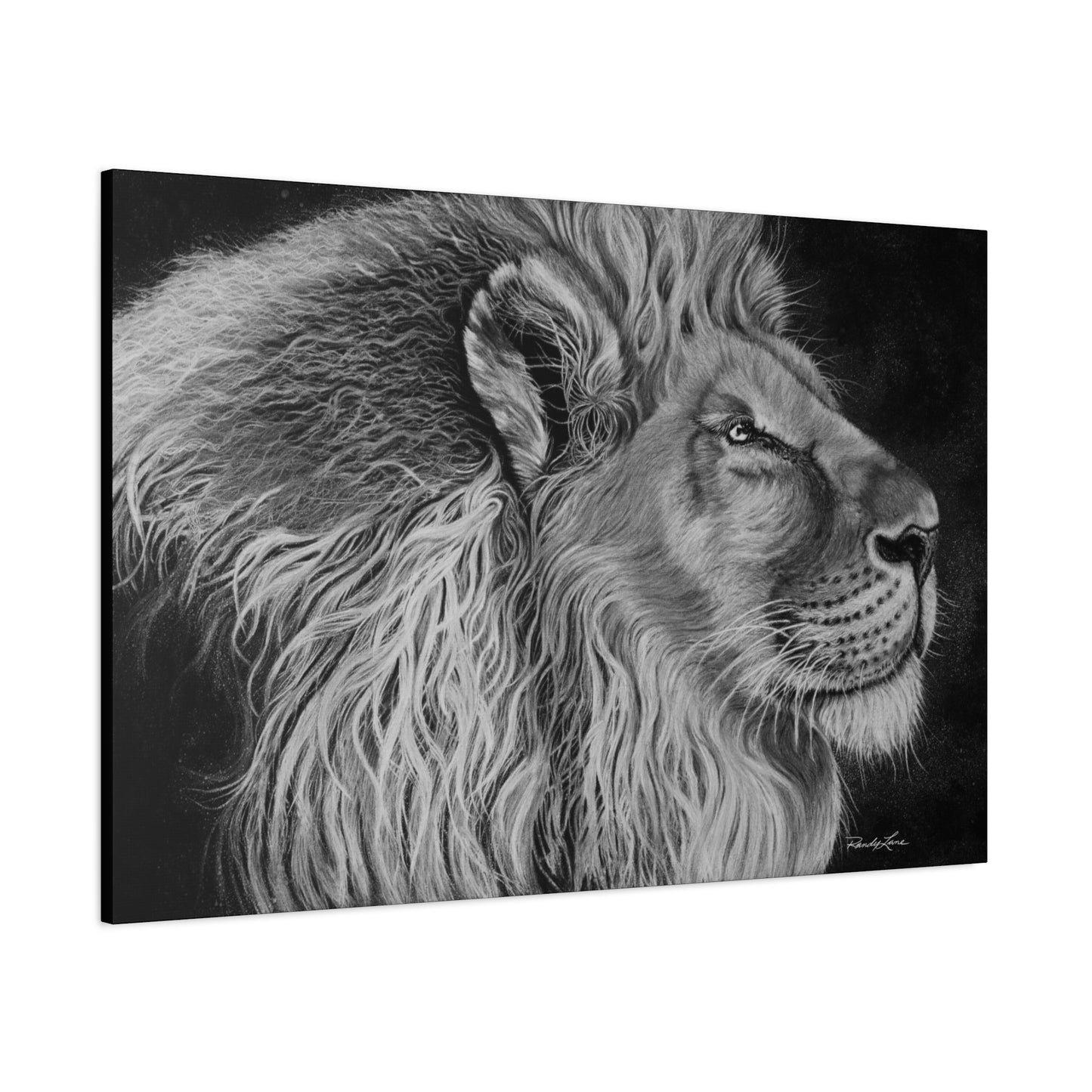 King of Cool, Majestic Lion Canvas Art