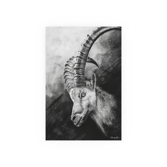 Apex, Alpine Ibex Archival Matte Fine Art Print