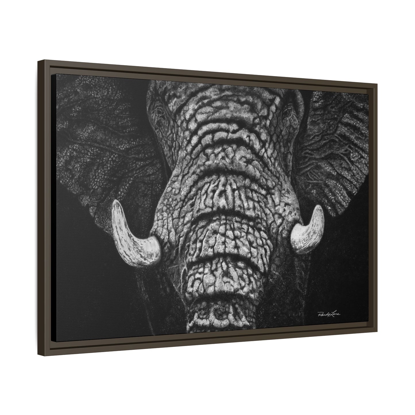 Ebony and Ivory, Elephant Portrait Framed Canvas Wall Art