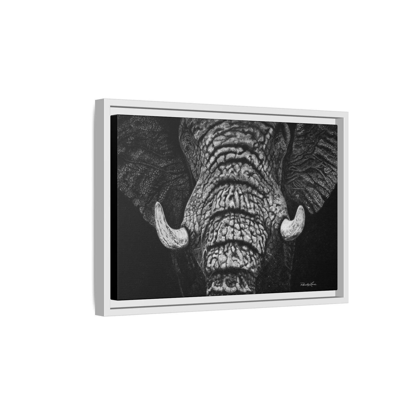 Ebony and Ivory, Elephant Portrait Framed Canvas Wall Art